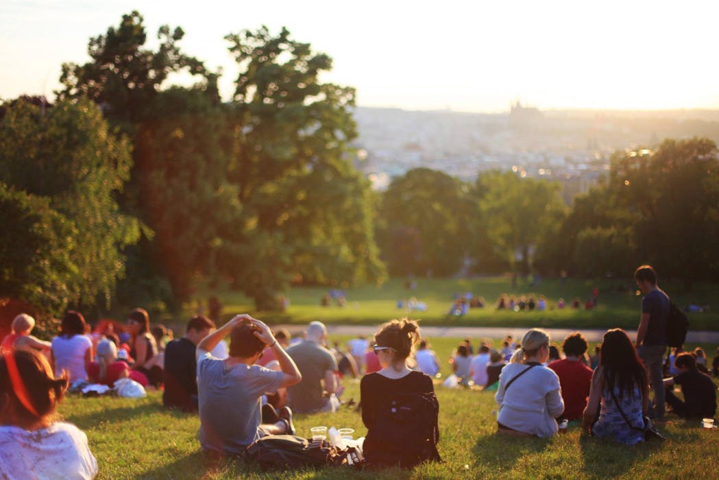 picnic