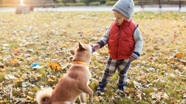 kids with dog