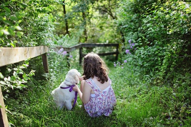 kids backyard